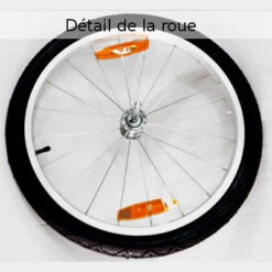 Remorque Pour Vélo Maxxus - 2 Places -Lecyclo Vélo Promos Boutique remorque pour velo maxxus 2 places full 4